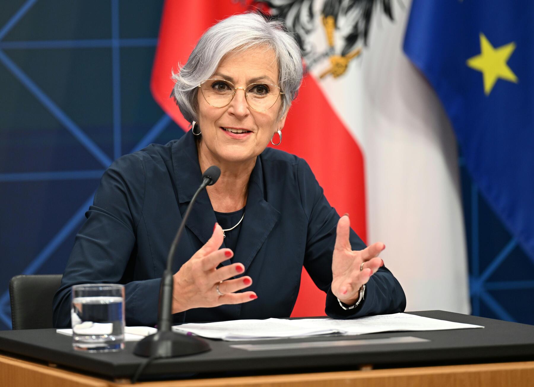 Austria plans supervised homes for juvenile offenders