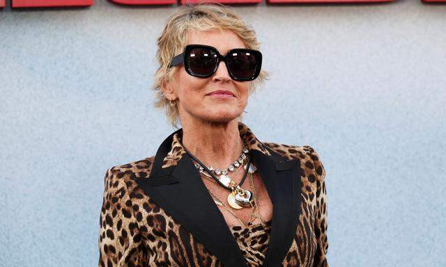 Sharon Stone erlitt 2001 einen schweren Schlaganfall