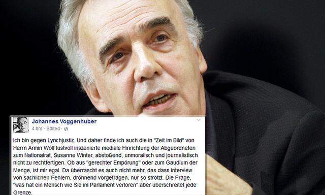 Johannes Voggenhuber und sein Posting auf Facebook