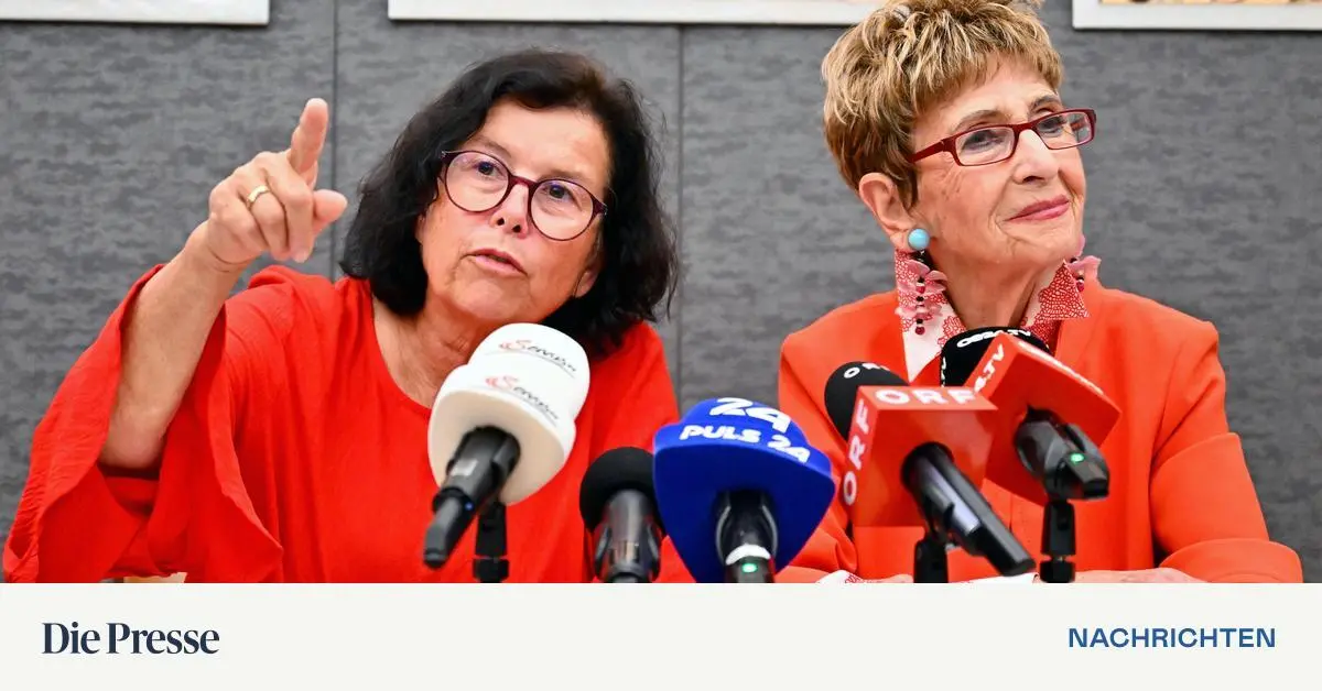 Statt-einer-Fixsteuer-f-r-Arbeiten-in-der-Pension-soll-Freibetrag-kommen-auch-f-r-Selbst-ndige-premium-