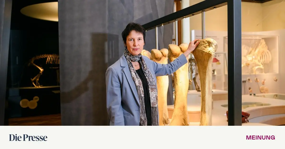 Macht-hoch-die-T-r-die-Tor-macht-weit-Nicht-bei-allen-Bundesmuseen-premium-