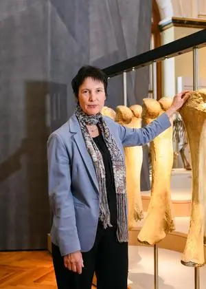 Katrin Vohland, Direktorin des NHM, beim Interview mit der „Presse“ diesen Sommer. Da hoffte sie noch auf die Finanzierungszusage. 