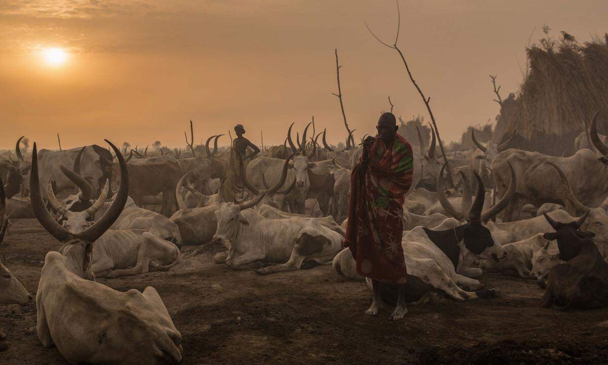 3. März. Düstere Morgenstimmung im Südsudan. Jedes Jahr während der Trockenzeit treiben die Hirten ihr Vieh in die Nähe des Nils, um ihre Wasserzufuhr zu garantieren.