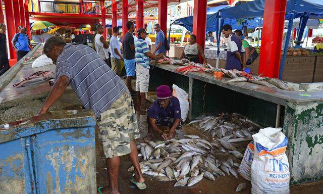 Die riesigen Fischgründe des Inselstaats sind intakt, weil umweltgeschützt – hier sind keine Fangflotten unterwegs, Netzfischerei ist verboten. Fisch kommt daher täglich fangfrisch auf den Sir-Selwyn-Selwyn-Clark-Markt in Mahé.