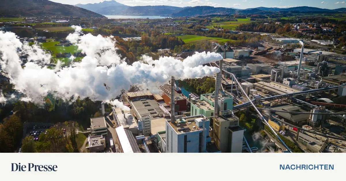 B-C-Gruppe-will-300-Mio-Euro-investieren-premium-
