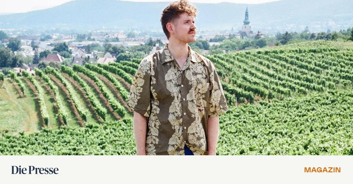 Zu-Besuch-in-der-Heimatgemeinde-Der-Blick-der-Weggezogenen-zur-ck-aufs-Land-premium-