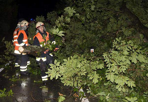 Auch in der Steiermark riss der Sturm Bäume um. Besonders stark betroffen war der Bezirk Liezen, in dem zahlreiche Straßen und die Bahnstrecke zwischen Haus und Schladming durch umgestürzte Bäume blockiert wurden. Schäden gab es im Bezirk Mürzzuschlag.