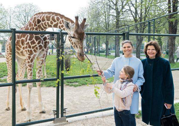 Und noch einem Mini-Royal gefällt es im Zoo: Prinzessin Estelle war mit Oma König Silvia und Mama Kronprinzessin Victoria im April auf Wien-Besuch. Bei einem Abstecher in den Tiergarten Schönbrunn besichtigten die Schwedinnen Pandas, Löwen, Elefanten und Co. Ob die Giraffe ahnt, welch royale Hand sie hier füttert?