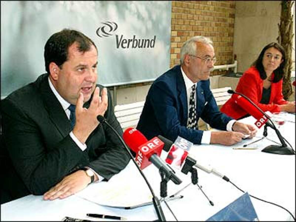 Nach ihrem Ausscheiden aus der Politik war Monika Langthaler im Jahr 2000 Mitbegründerin von "brainbows ? the information company" in Wien. Seitdem ist sie als deren geschäftsführende Gesellschafterin tätig.Laut Firmen-Homepage ist "brainbows ? the information company" die Brücke zwischen Wissen aneignen und unmittelbarem Vergnügen am Lernen, zwischen gesellschaftspolitischem Engagement, kundenorientiertem Service und finanziellem Erfolg.