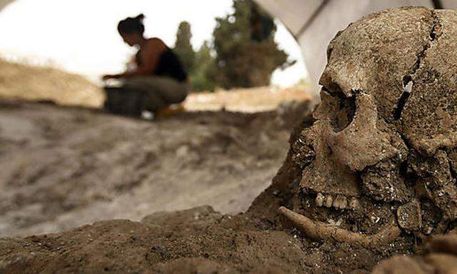 A worker is seen behind a human skull in a mass grave in San Rafael cemetery in Malaga, Spain, Sunday