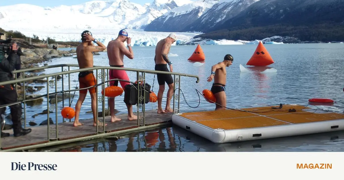 Die-Winterschwimmer-von-Patagonien-k-mpfen-sich-durchs-eiskalte-Wasser-premium-