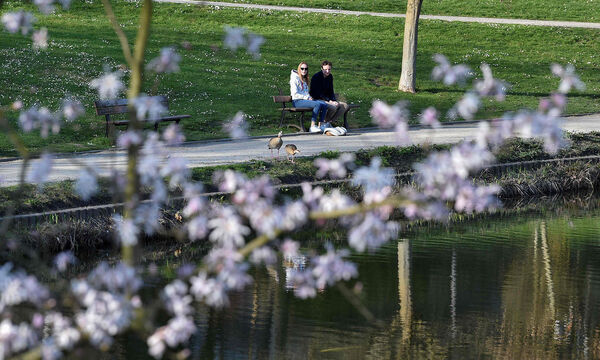 Paare, die zusammenwohnen und gesund sind, dürfen auch gemeinsam in den Park gehen. Wer aber mit dem Coronavirus infiziert ist, hat dort nichts verloren.