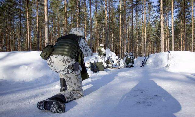Die finnische Grenze zur Nato