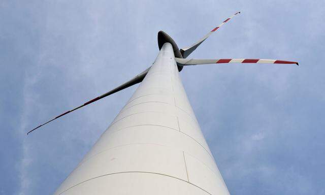 Windkraftanlagen müssen sich an den Zielen des Tierschutzes messen lassen. Und das kann dauern.