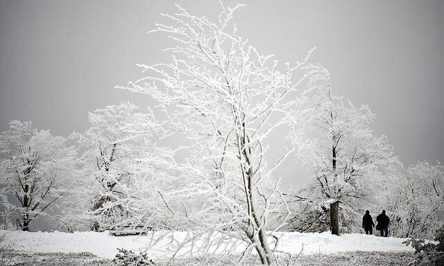 Schnee in Winterberg