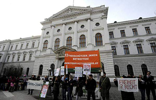 Im mehr als 300 Seiten starken Strafantrag sind neben der Bildung einer "kriminellen Organisation" weiters u.a. Nötigungen bzw. -versuche, Sachbeschädigungen, Sabotageakte durch Einleiten von Buttersäure, Widerstand gegen die Staatsgewalt, Tierquälerei angeführt.