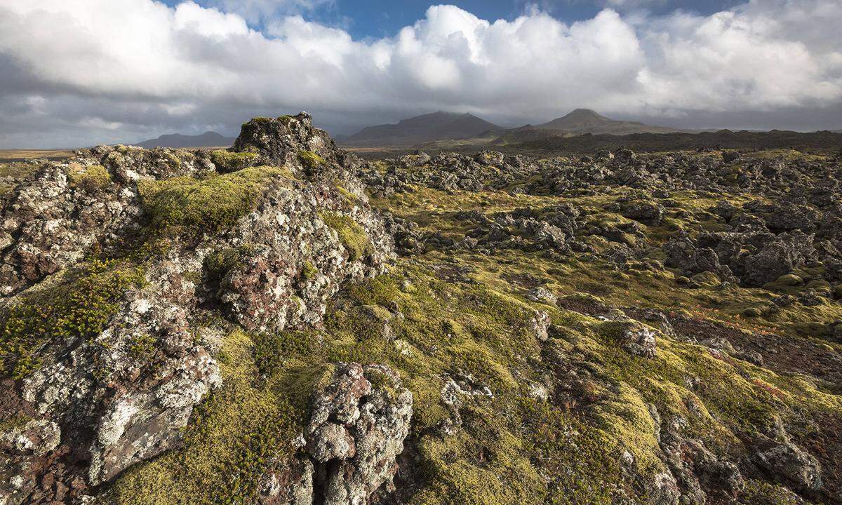 Der Þingvellir Nationalpark im Südwesten Islands ist Teil des UNESCO Weltnaturerbes und der Welt von "Game of Thrones". Hier begleiten wir in der vierten Staffel Arya und den Hund auf ihrer Reise durch Mittel-Westeros durch sommerliches Island-Grün.