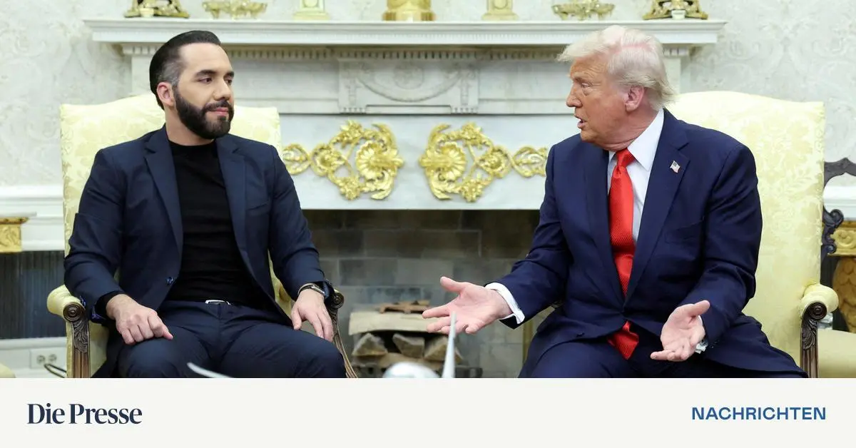 Medien-US-Menschenrechtsbericht-sch-nt-unter-Trump-Situation-in-verb-ndeten-Staaten