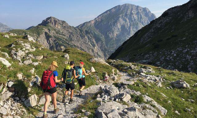 Sicher ist sicher - für die meisten bedeutet das Urlaub in Österreich.