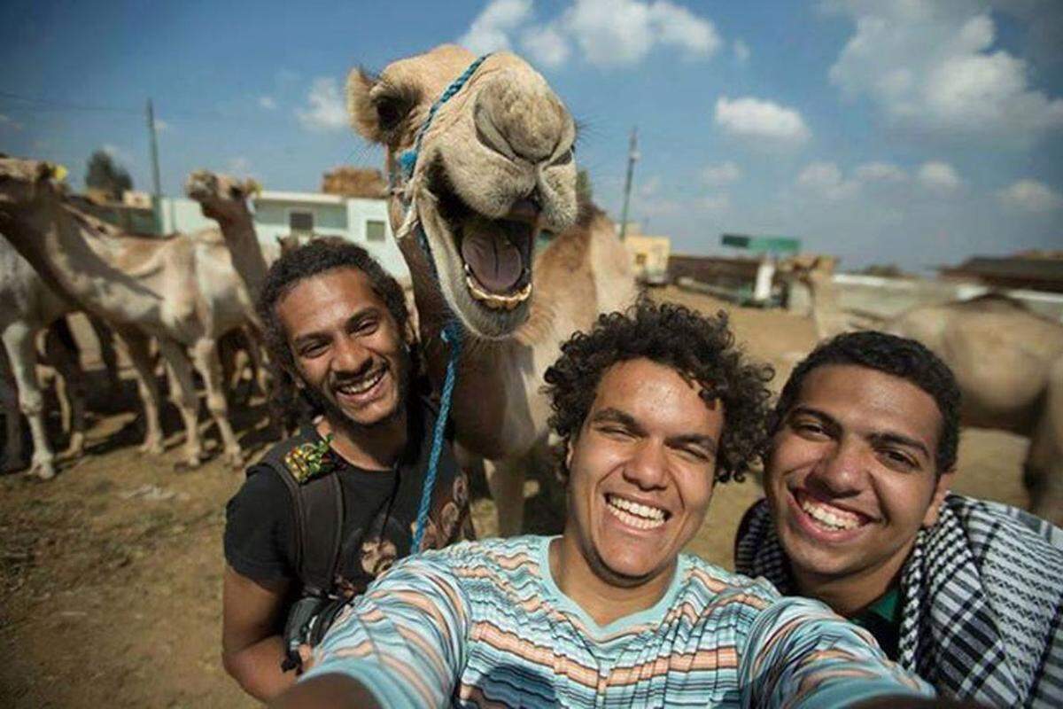 In der realen Tierwelt war 2014 einiges los. Hier "The happy camel selfie". 