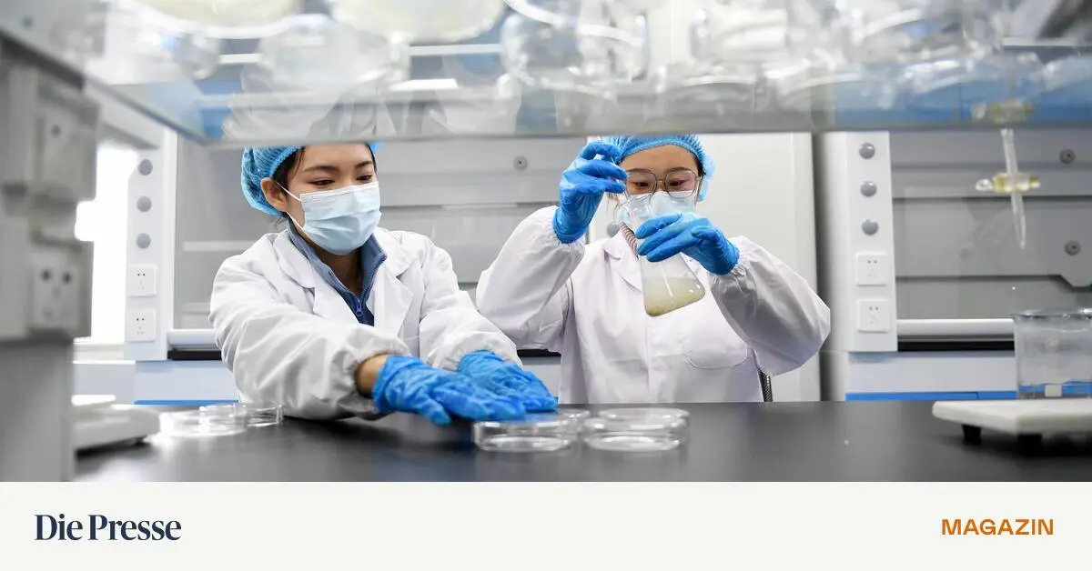 Biotechnologie-Wie-China-die-Aufholjagd-gelingt-premium-
