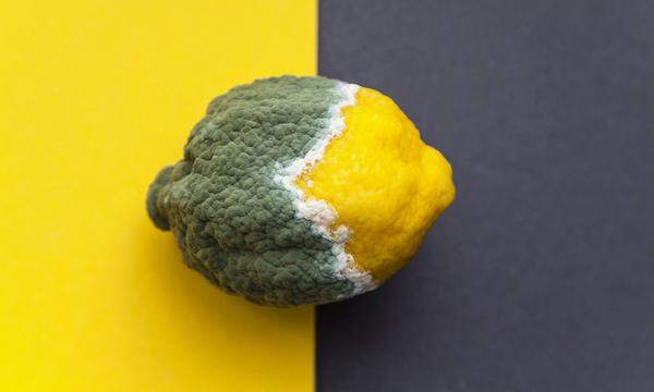 Bei dieser Zitrone ist es eindeutig. Aber auch sonst solle man nicht unterschätzen, wie schnell sich Schimmel in Obst ausbreitet, sagt der Chemiker Rudolf Krska.