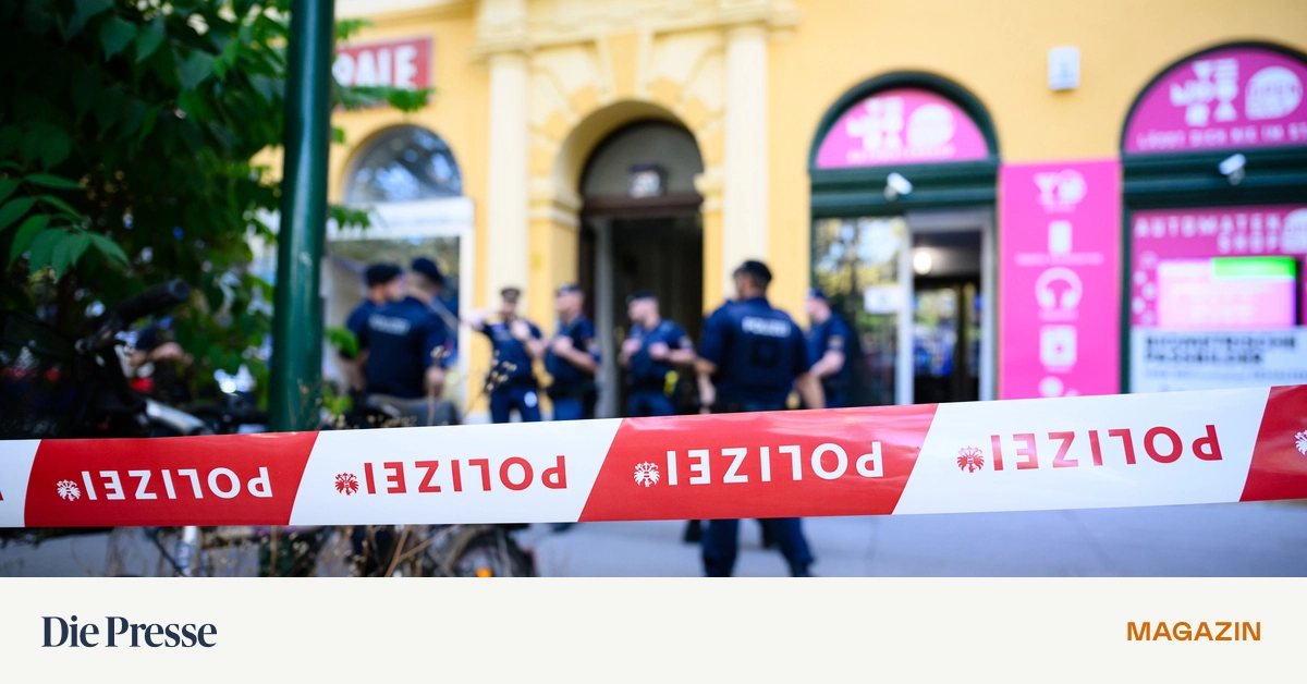 Gewaltt-tige-M-nner-Die-meisten-sind-nicht-gest-rt-sondern-ganz-normal-premium-