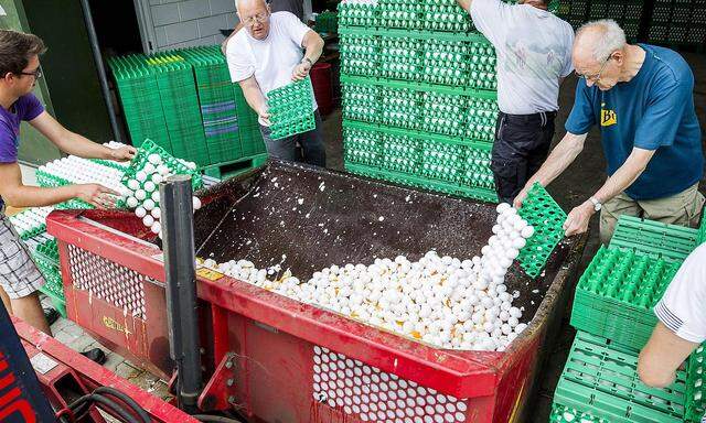 Entsorgung von Eiern in den Niederlanden