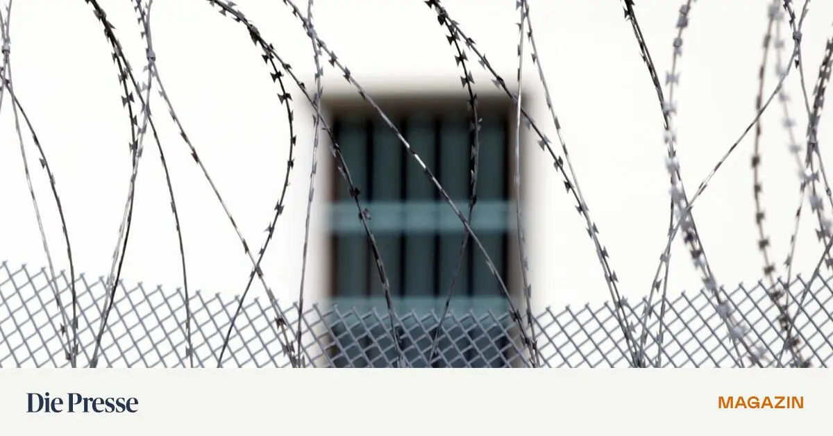 So-viele-H-ftlinge-tauchen-in-sterreich-unter-premium-