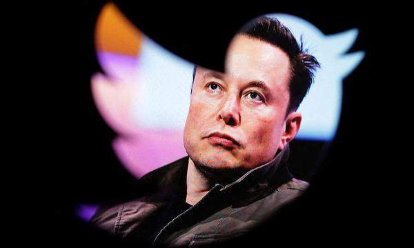 FILE PHOTO: Illustration shows Elon Musk's photo and Twitter logo