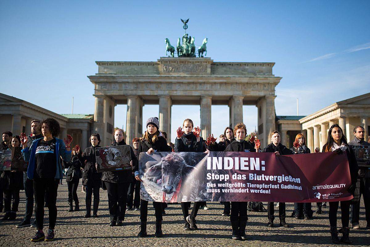 Trotz weltweit Protesten von Tierschützern wurden beim hinduistischen Opferfest Gadhimai in Nepal wieder Tausende Tiere zur Schlachtbank geführt. Das Fest wird alle fünf Jahre zu Ehren der Göttin Gadhimai an einem Tempel in Bariyarpur gefeiert.  Im Jahr 2009 wurden schätzungsweise 50.000 Wasserbüffel getötet.