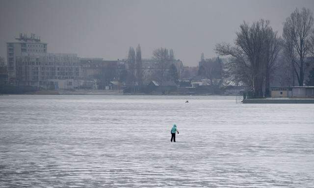 Hui, es droht eine Eiszeit. Irgendwann halt. (Bild: die zugefrorene Alte Donau in Wien.