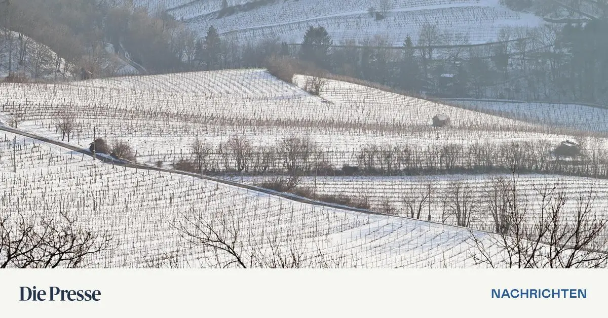 Chance-auf-wei-e-Weihnachten-im-Osten-und-S-den-sterreichs-ziemlich-gro-