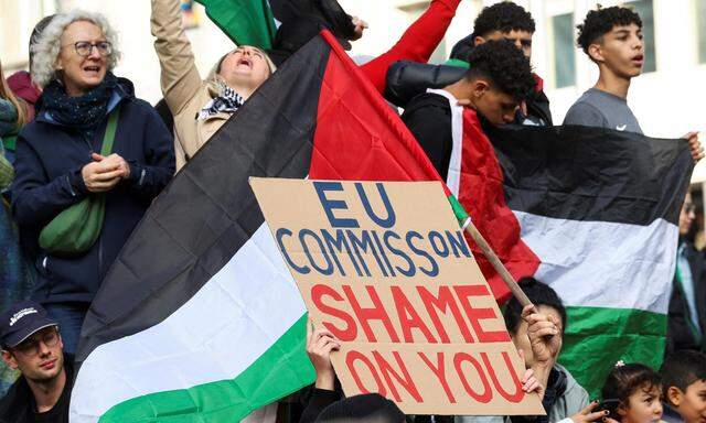 Auch in Brüssel demonstrieren Hamas-Sympathisanten gegen die europäische Unterstützung für Israel. 