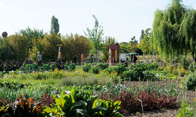 Blumengärten Hirschstetten 