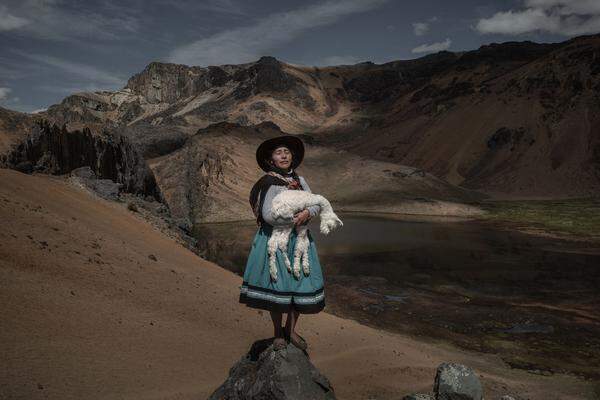 Ebenfalls aus Peru stammt diese Fotoserie von Alessandro Cinque. Dort, in den Anden, leiden die Alpakas durch die Klimakrise, denn Weideland und Wasser werden knapper. Hier sieht man die Bäuerin Alina Surquislla Gomez, die ein kleines Tier auf die Weide trägt.