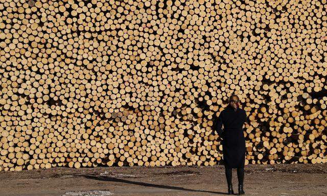 Russland hat die größten Holzbestände der Welt. An der Börse wird ein Branchenunternehmen erst seit Kurzem gehandelt. 