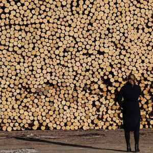Russland hat die größten Holzbestände der Welt. An der Börse wird ein Branchenunternehmen erst seit Kurzem gehandelt. 