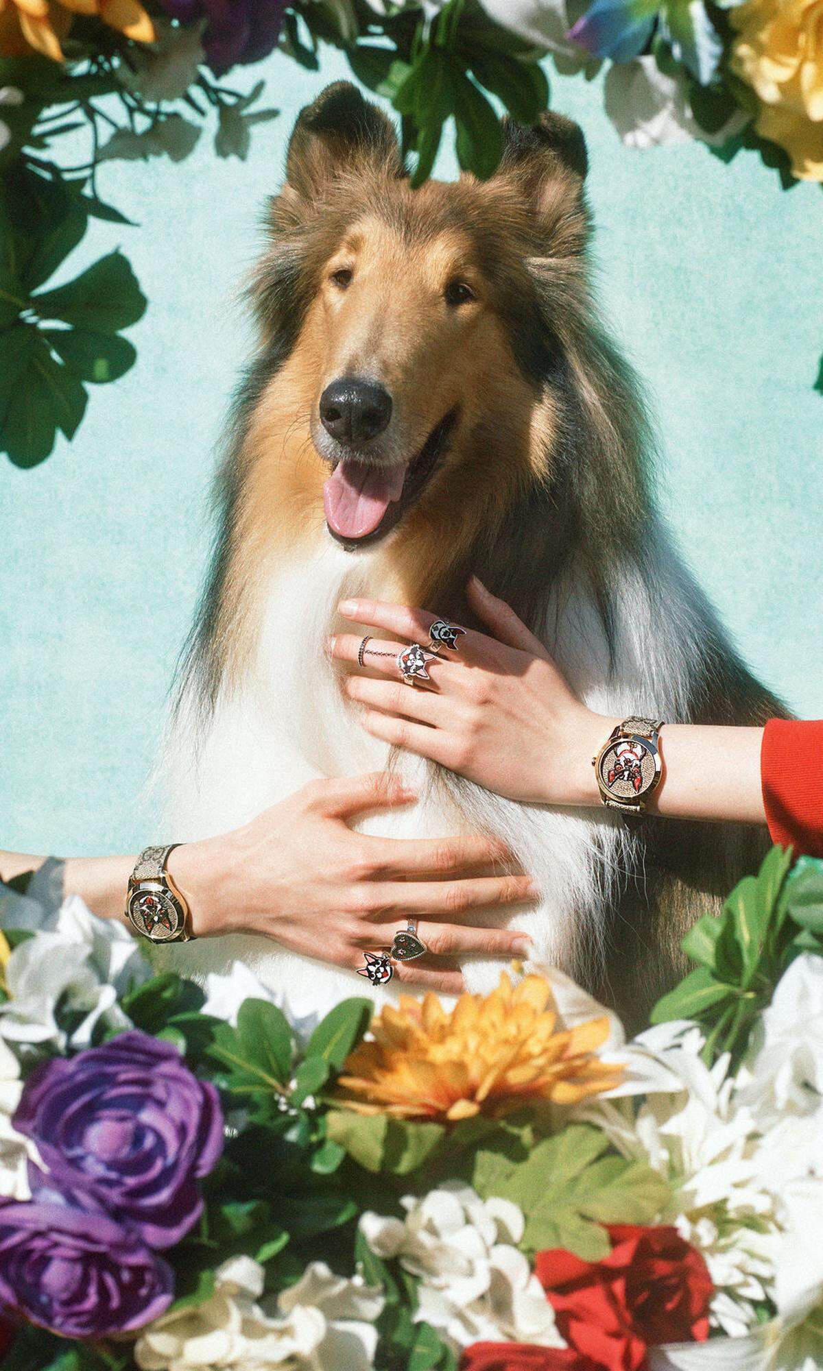 Gucci, „G-Timeless GG ­Supreme“: Gucci-Designer Alessandro Michele lässt anlässlich des Jahres des Hundes auch gleich seinen Boston Terrier Orso hochleben: Er ziert das Zifferblatt dieser 38-mm-Quarzuhr.