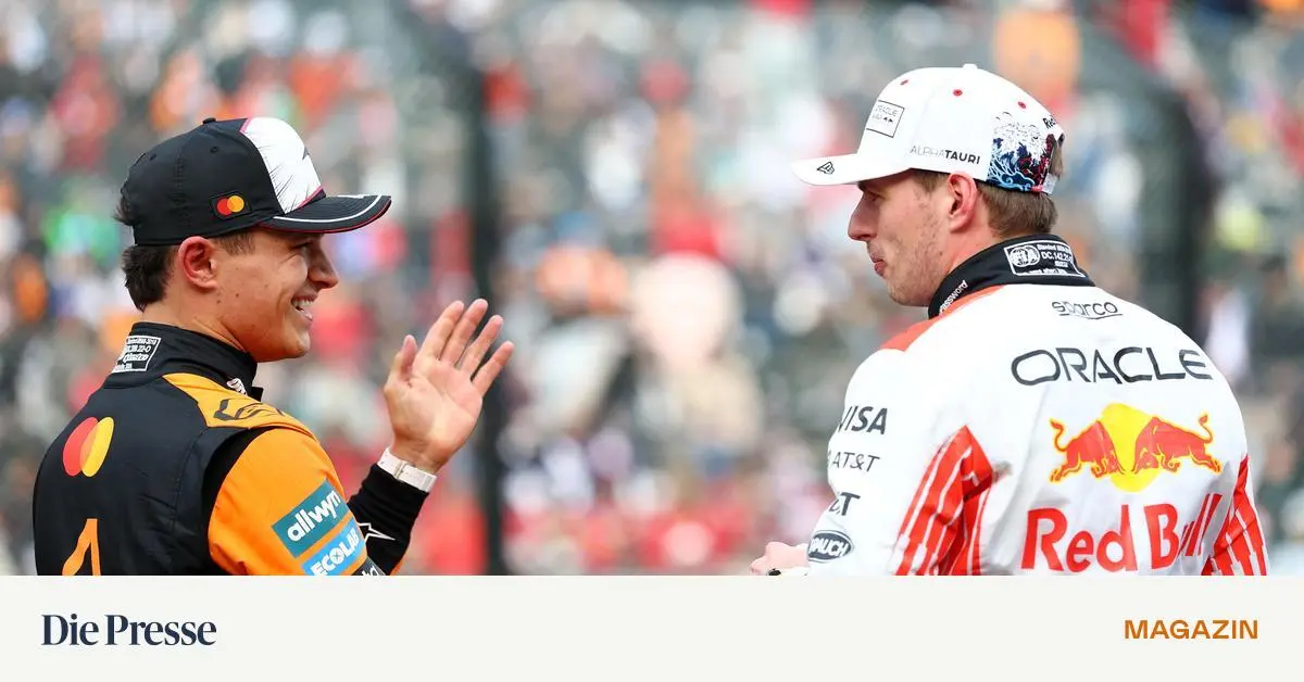 Pro-und-Contra-Wird-Max-Verstappen-doch-noch-Weltmeister-premium-