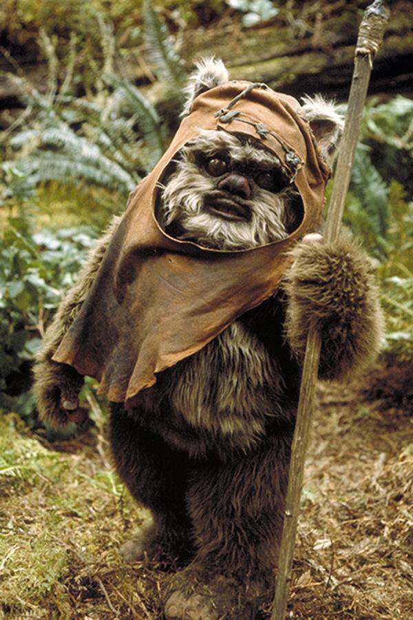 Warwick Davis wird ebenfalls in Episode VII mitwirken. Ob er wieder - wie in "Die Rückkehr der Jedi-Ritter" - in das Ewok-Kostüm von Wicket schlüpft, ist noch nicht bekannt.Auch einige "neue" Schauspieler wurden für die lang erwartete "Star Wars"-Fortsetzung bestätigt: