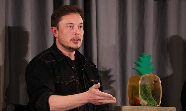 Tesla-Chef Elon Musk will ein Werk in Europa