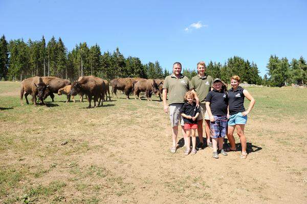 Im Waldviertel züchtet Familie Baumgartner auf ihrer Ranch Bisons. Verkauft ist das Fleisch schon lange bevor es geschlachtet wird. Die Nachfrage ist groß, die Herde klein. Ein Rundgang.