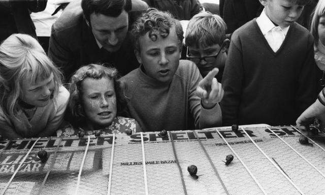 Britische Tradition: Die World's Snail Race Championship in Brighton im Jahr 1969.  Auf der Schleimspur zum Salatpokal.
