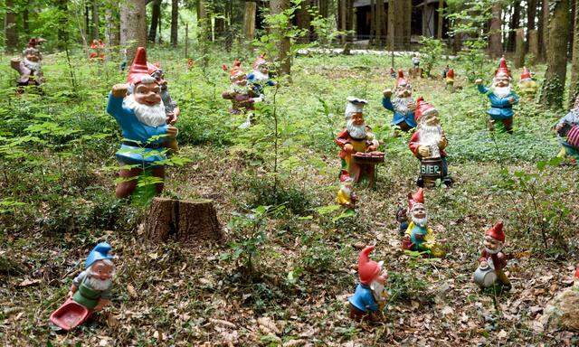 Fast wie ein Wimmelbild: die Gartenzwerge des Hubhofs, die sich an vielen Stellen im Wald finden.