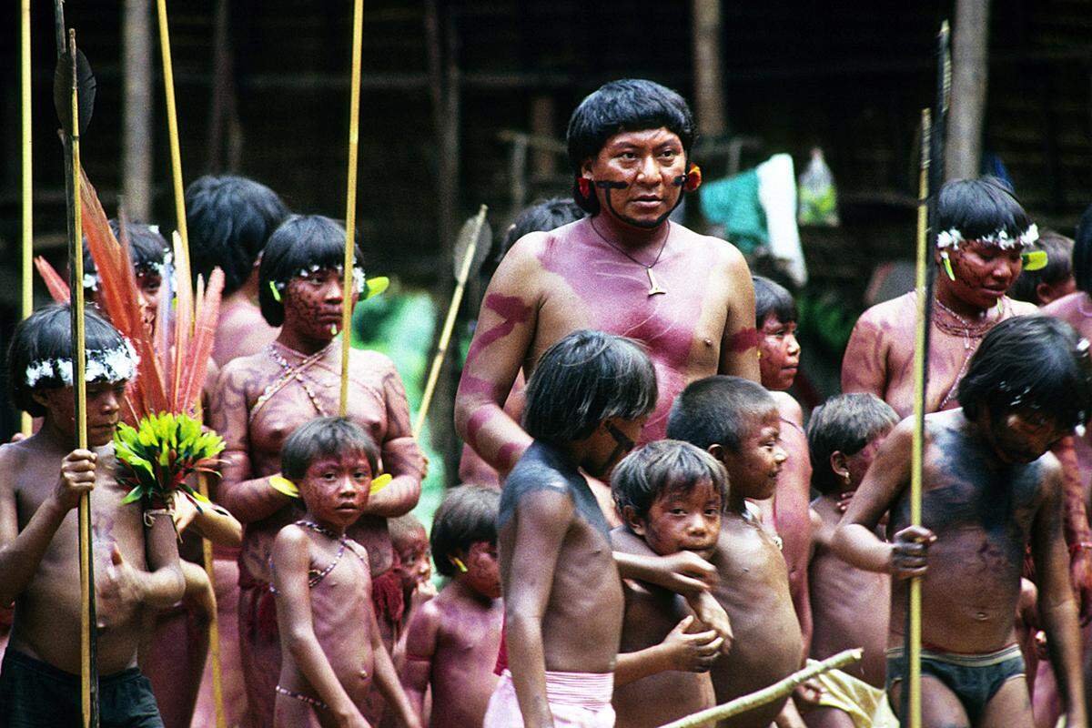 Davi Kopenawa, Yanomami-Anführer und Schamane, mit seinem Sohn und anderen Kindern seiner Gemeinde Watoriki in Brasilien. Schon im Alter von fünf Jahren belgeiten Yanomami-Jungen ihre Väter auf Jagdausflüge. Sie lernen Bäume hinaufzuklettern, indem sie mit Lianen kleine Kletterschlaufen an ihren Füßen bauen, und sie jagen kleine Vögel mit Pfeil und Bogen. "Manchmal riefen mich die Jäger bei Tagesanbruch zu sich, wenn sie in den Wald aufbrachen", erinnert sich Davi Kopenawa. "Ich ging mit ihnen. Und wenn sie ein kleines Tier erlegten, würden sie es mir geben. So wuchs ich im Wald auf."