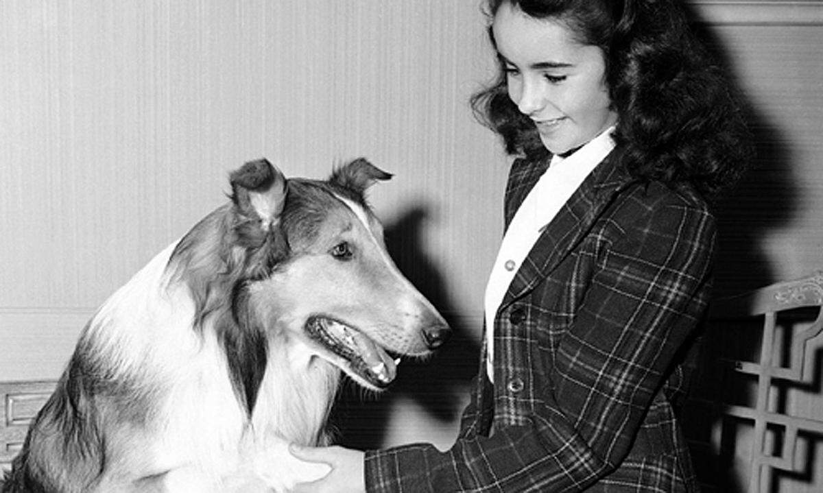 Ihre Mutter hatte ihr die Hauptrolle neben dem Collie "Lassie" verschafft. Nach einer Reihe leichter Unterhaltungsfilme spielte sie 1951 "Ein Platz an der Sonne" ihre erste dramatische Rolle.