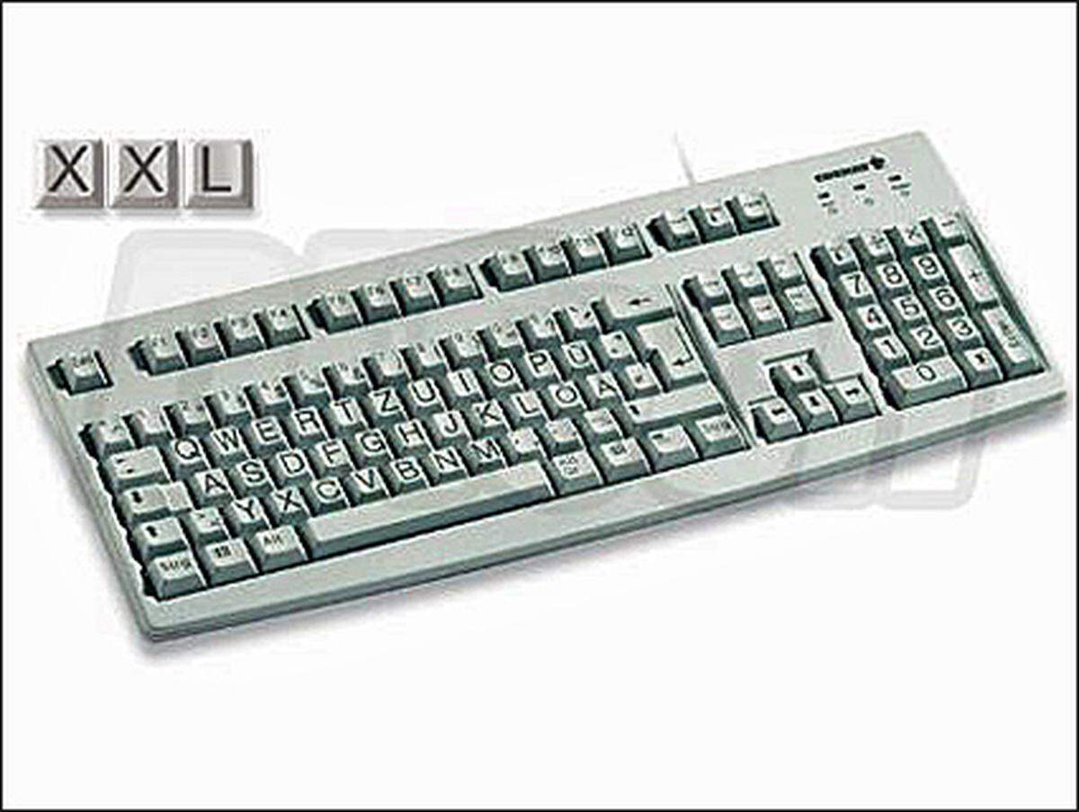 Die Firma  DiTech bietet eine Tastatur mit extra großer Beschriftung an. Denn vor allem ältere User haben nicht nur oft eine Seheinschränkung; auch das Zehn-Finger-System ist durchaus nicht Standard.