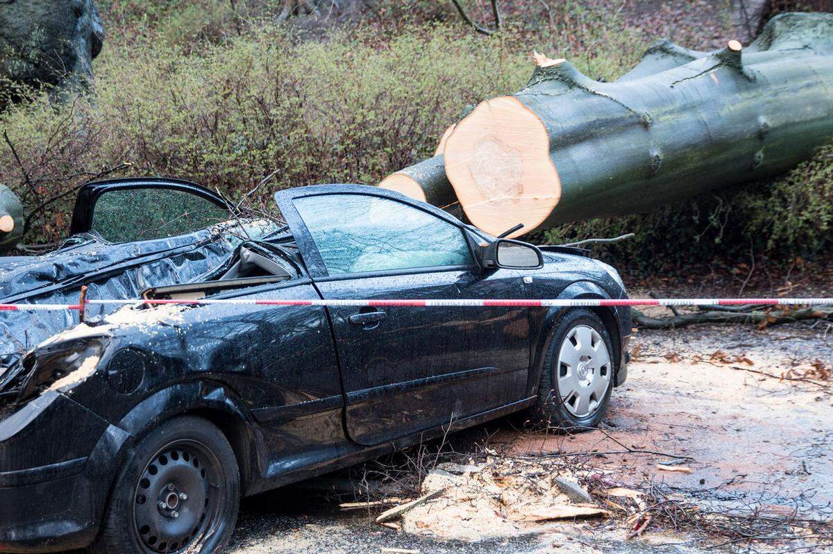 In Hamburg fiel ein Baum auf ein Auto - Totalschaden.