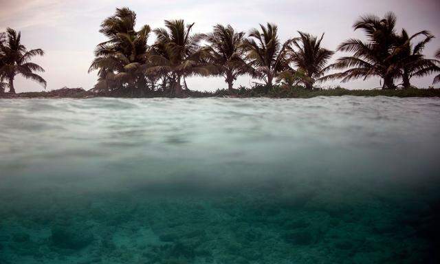 Steuerparadiese wie Belize und Panama werden angeblich auch genutzt, um illegale oder unregulierte Fischerei zu verschleiern